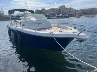 Motorboot White Shark 268 gebraucht - OCEAMBER