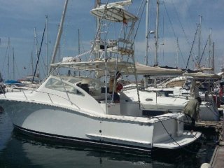 Luhrs 30 occasion