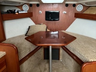 Luhrs 32 Open - Image 7