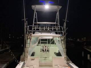 Luhrs 32 Open - Image 9