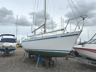 Sailing Boat MG Yachts 27 used - CLARKE & CARTER ESSEX