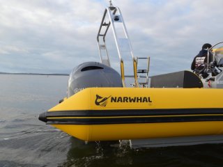 Narwhal SP 900 - Image 26