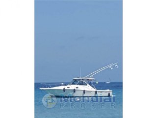 Barca a Motore Pursuit 3100 Express Fisher usato - YACHT DIFFUSION VIAREGGIO