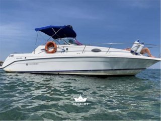 Motorboot Rinker 265 Fiesta gebraucht - INFINITY XWE SRL