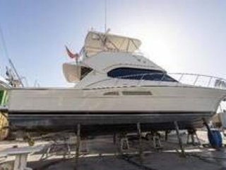 Motorboot Riviera 47 gebraucht - PRIMA BOATS