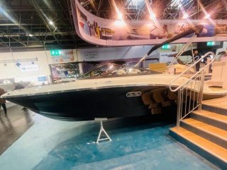 Barco a Motor Sea Ray 190 SPX nuevo - HOLLANDBOOT DE GMBH