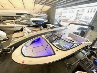 Motorboat Sea Ray 210 SPOE new - HOLLANDBOOT DE GMBH