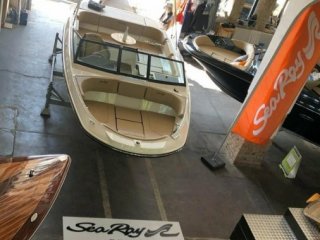 Barco a Motor Sea Ray 210 SPX ocasión - HOLLANDBOOT DE GMBH