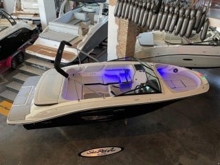 Motorboot Sea Ray 210 SPX gebraucht - HOLLANDBOOT DE GMBH