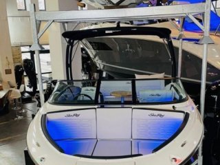 Barco a Motor Sea Ray 210 SPXE nuevo - HOLLANDBOOT DE GMBH