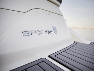 Sea Ray 230 SPX - Image 3