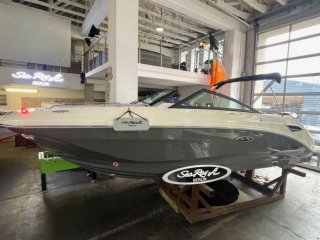 Motorboot Sea Ray 250 gebraucht - HOLLANDBOOT DE GMBH