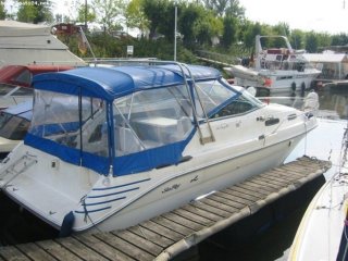 Barco a Motor Sea Ray 250 ocasión - TREFFPUNKT BOOT