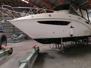 Sea Ray 265 Sundancer occasion