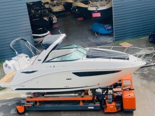 Barco a Motor Sea Ray 265 Sundancer nuevo - HOLLANDBOOT DE GMBH