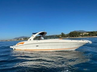 Motorboot Sea Ray 290 gebraucht - MARINA MARBELLA ESPAÑA
