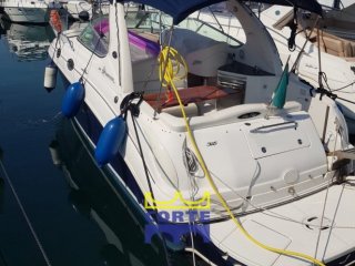 Motorboot Sea Ray 315 Sundancer gebraucht - CORTE SRL