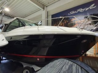 Barco a Motor Sea Ray 320 DAE nuevo - BOOTE PFISTER