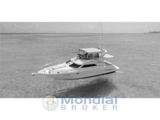 Motorboat Sea Ray 45 Sedan used - AQUARIUS YACHT BROKER