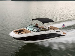 Sea Ray SDX 250 neuf