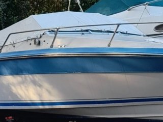 Motorboat Sea Ray Seville used - QUICK SERVICE