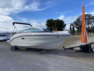 Motorboat Sea Ray SPX 190 OB new - CONSTANCE BOAT