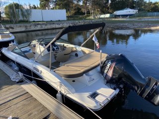 Motorboat Sea Ray SPX 190 OB used - CONSTANCE BOAT