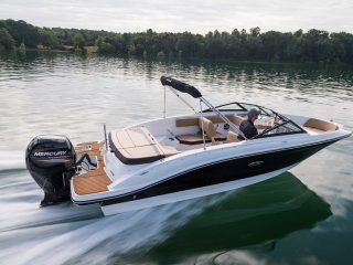 Barco a Motor Sea Ray SPX 210 OB nuevo - CONSTANCE BOAT