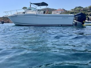 Motorboat Seaswirl Striper 2600 used - SUD PLAISANCE CONSULTING