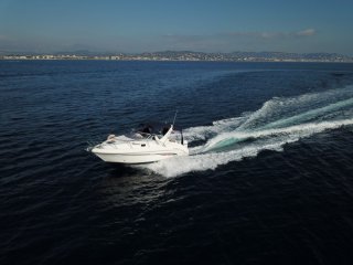 Barco a Motor Selva Cruiser 7.1 Cabin ocasión - ARES YACHTING SERVICES