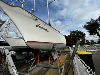 Sailing Boat Southern Pacific Shearwater 39 used - MARINE WEST BRETAGNE