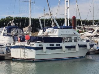 Barca a Motore Trader 41+2 usato - CLARKE & CARTER ESSEX