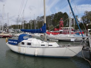 Sailing Boat Trintella 29 used - CLARKE & CARTER SUFFOLK