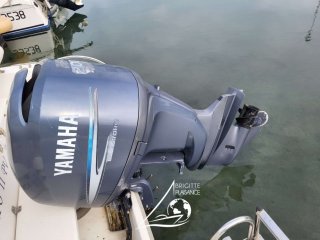Ultramar Shaft 730 Fish - Image 5