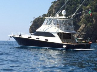 Motorboat Viking 54 Convertible used - GIVEN FOR YACHTING