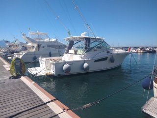 Barca a Motore Wellcraft Coastal 360 usato - DIAMOND YACHT