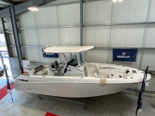 Motorboat Wellcraft Fisherman 262 new - UNI BATEAUX