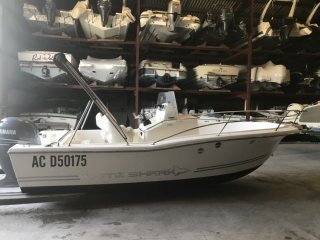 Motorboot White Shark 205 gebraucht - MARINE PLAISANCE SERVICE