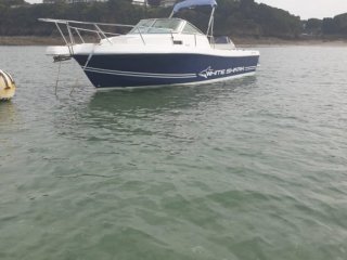 Motorboat White Shark 236 used - CHANTIER DE LA VILLE AUDRAIN