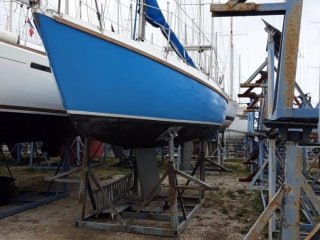 Segelboot Yachting France Tarentelle gebraucht - AAA FRENCH YACHTING