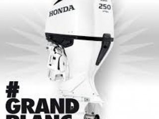 Honda BF 250 - Image 4