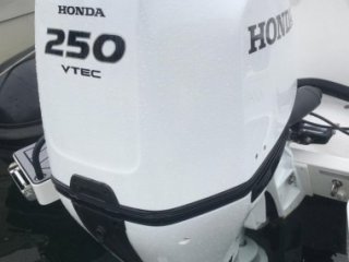 Honda BF250 DXDU occasion