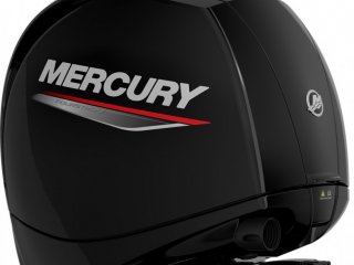 Mercury F 150 EFI - Image 5