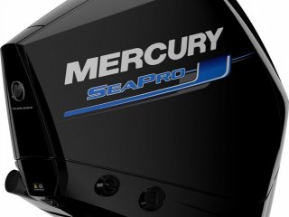 Mercury F 250 DTS SEAPRO - Image 2