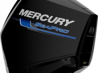 Mercury F 250 DTS SEAPRO - Image 4