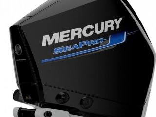 Mercury F 300 DTS SEAPRO (AMS) - Image 1