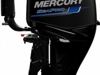 Mercury F 40 EFI SEAPRO - Image 2
