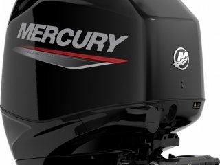Mercury F 50 EFI CT - Image 1