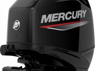 Mercury F100 EFI ELPT - Image 6