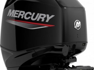 Mercury F115 EFI ELPT - Image 6